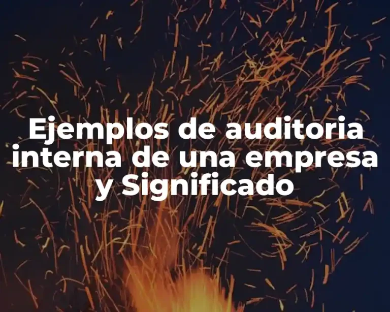 Ejemplos de auditoria interna de una empresa y Significado