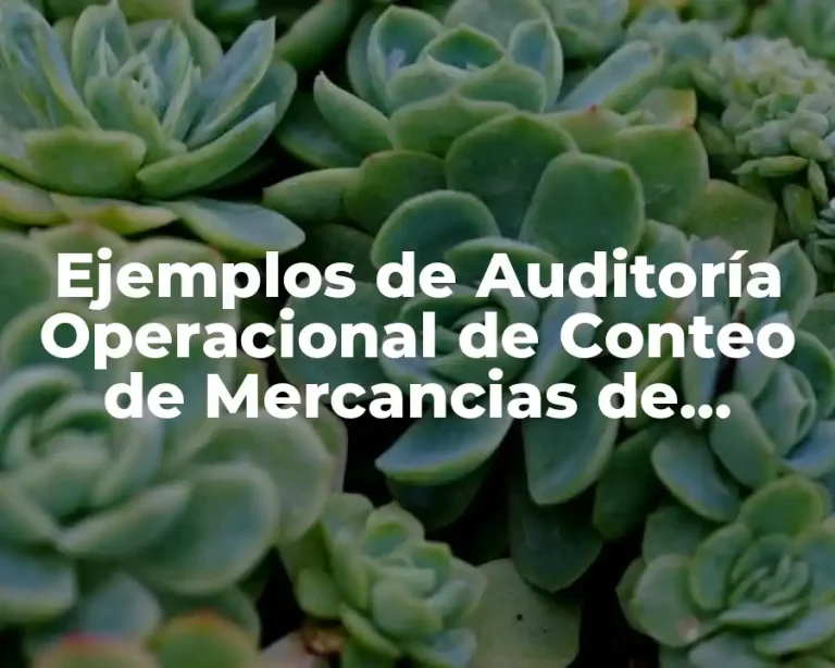 Ejemplos de Auditoría Operacional de Conteo de Mercancias de Reportes y Significado