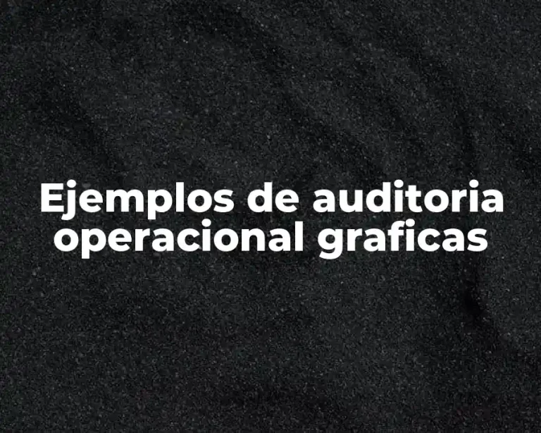 Ejemplos de auditoria operacional graficas