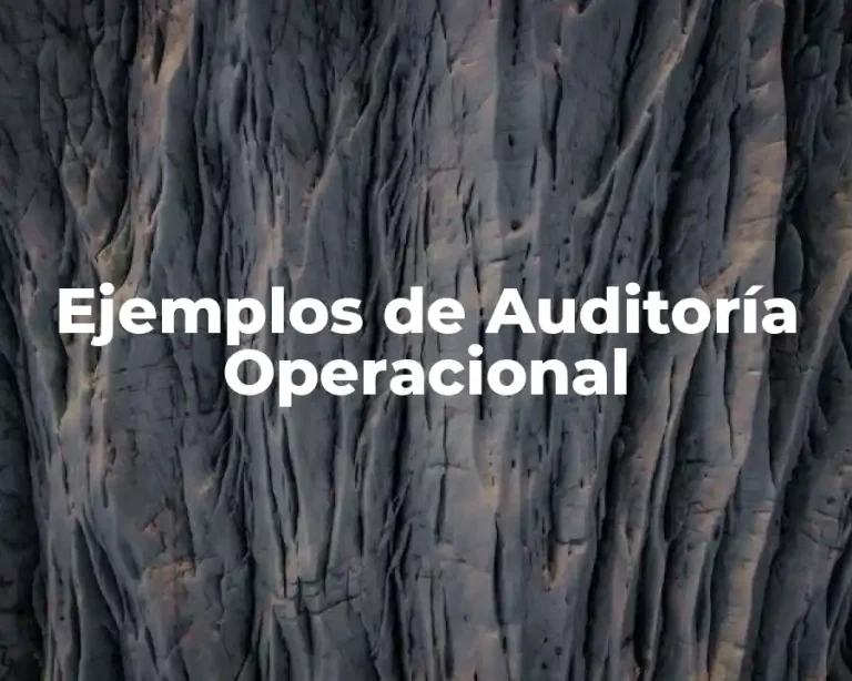 Ejemplos de Auditoría Operacional