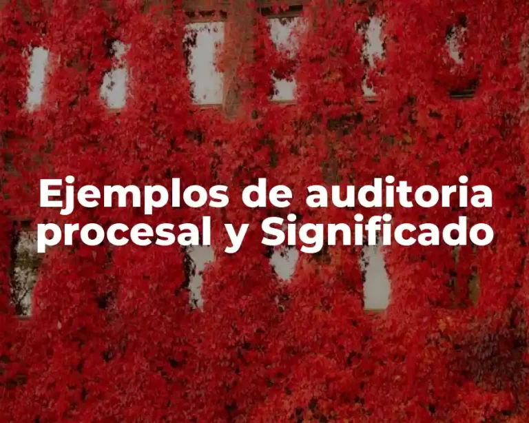 Ejemplos de auditoria procesal y Significado