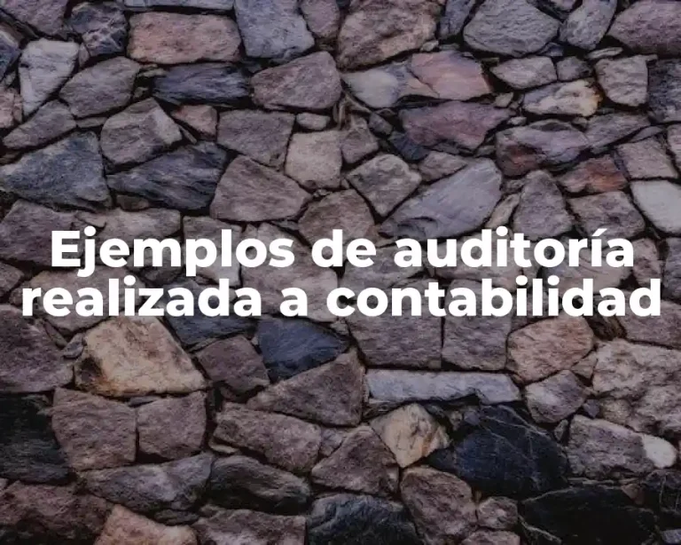Ejemplos de auditoría realizada a contabilidad