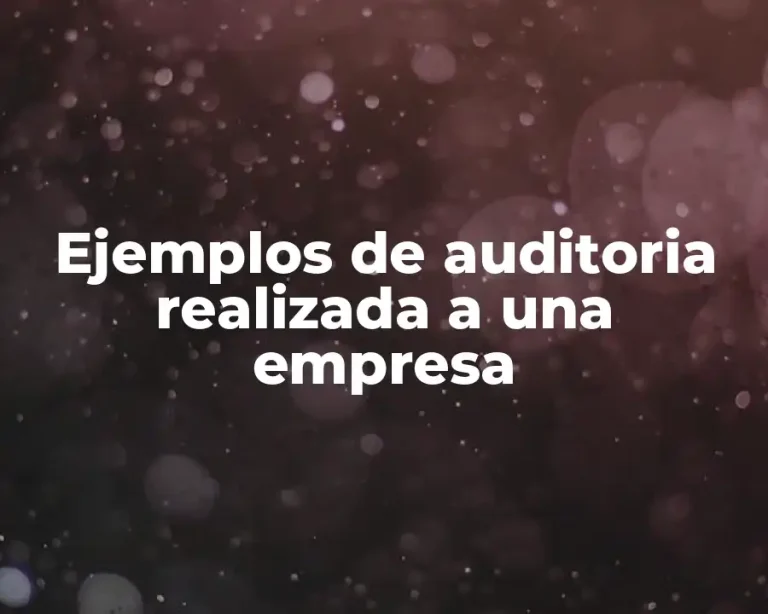Ejemplos de auditoria realizada a una empresa