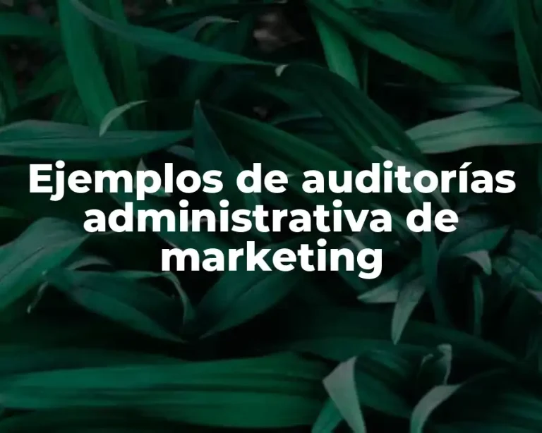 Ejemplos de auditorías administrativa de marketing