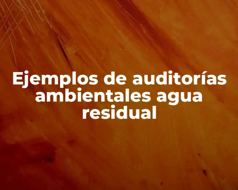 Ejemplos de auditorías ambientales agua residual