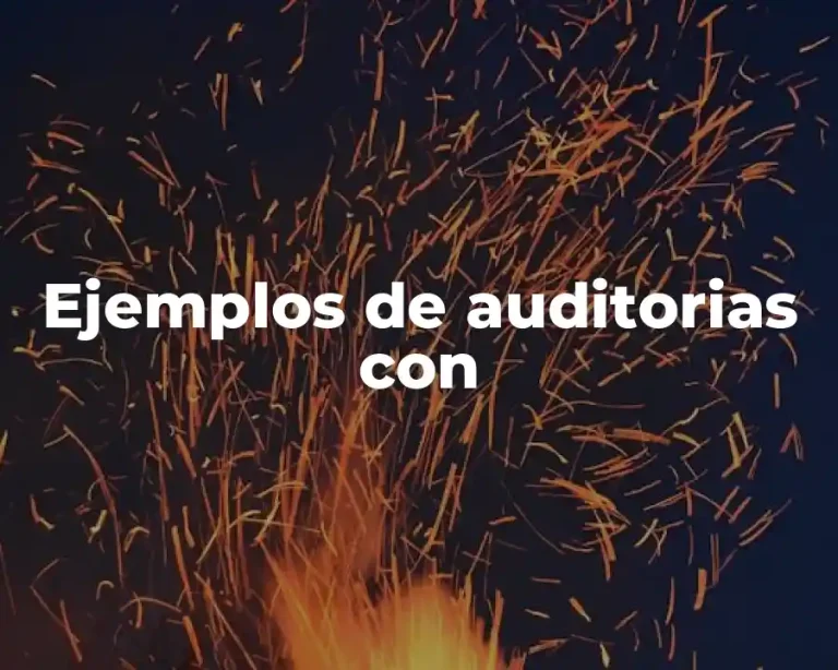 Ejemplos de auditorias con
