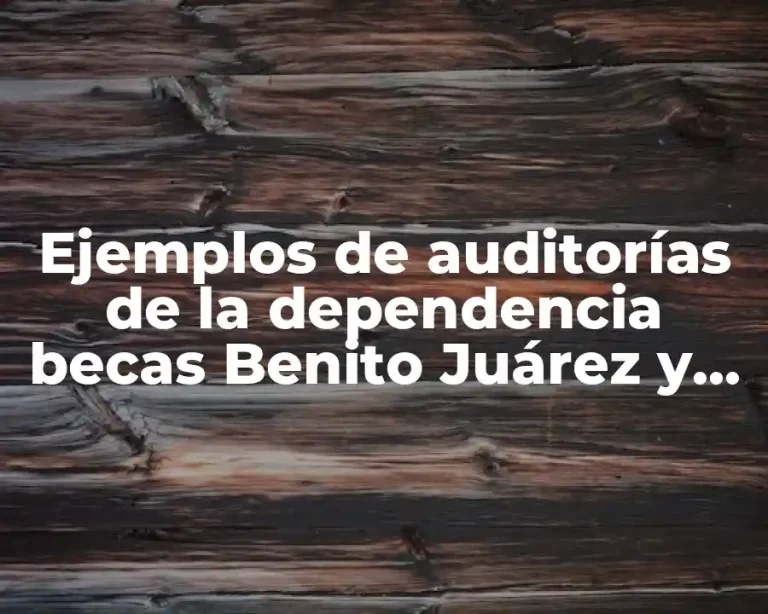 Ejemplos de auditorías de la dependencia becas Benito Juárez y Significado