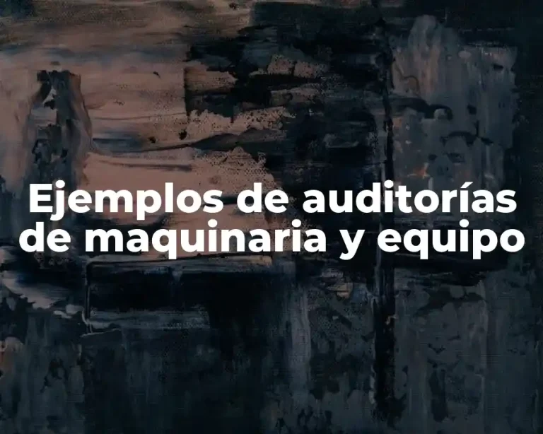Ejemplos de auditorías de maquinaria y equipo