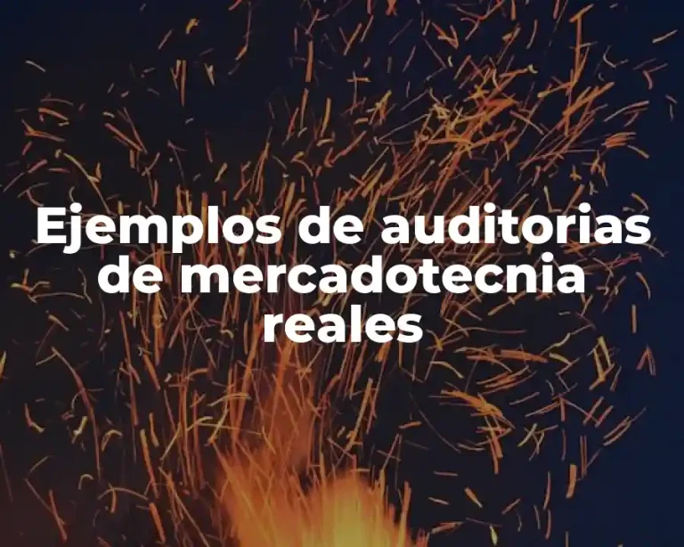 Ejemplos de auditorias de mercadotecnia reales