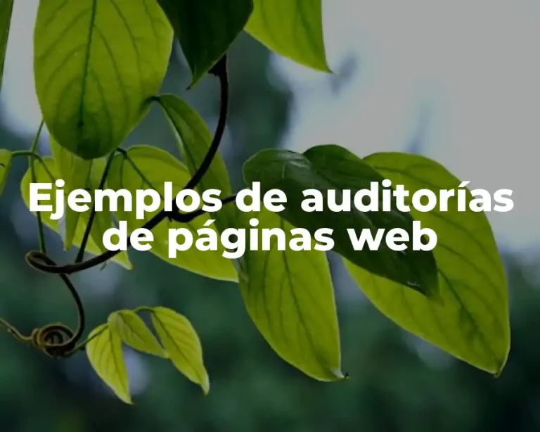 Ejemplos de auditorías de páginas web
