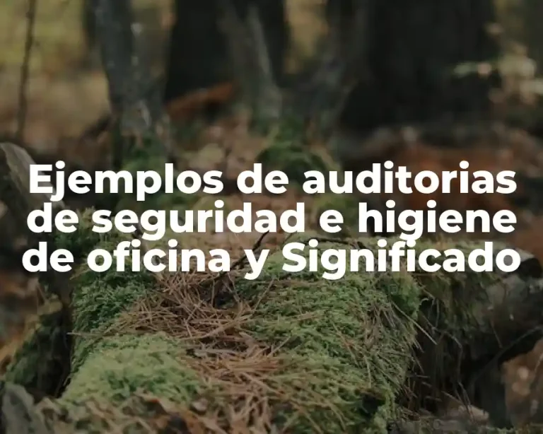 Ejemplos de auditorias de seguridad e higiene de oficina y Significado