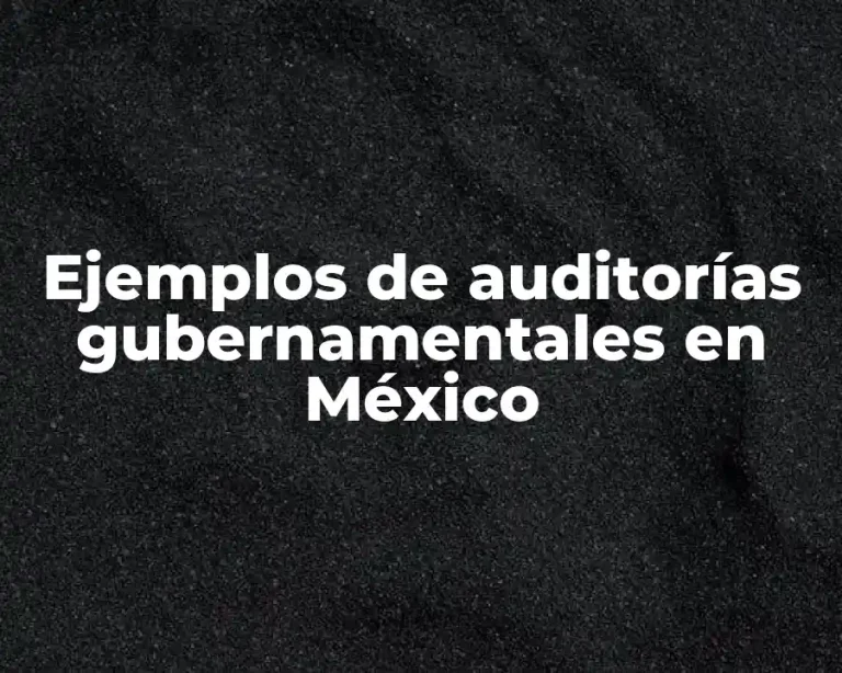Ejemplos de auditorías gubernamentales en México