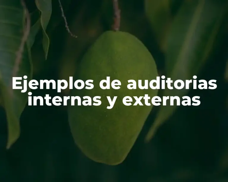 Ejemplos de auditorias internas y externas