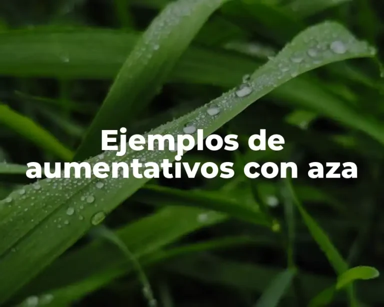 Ejemplos de aumentativos con aza