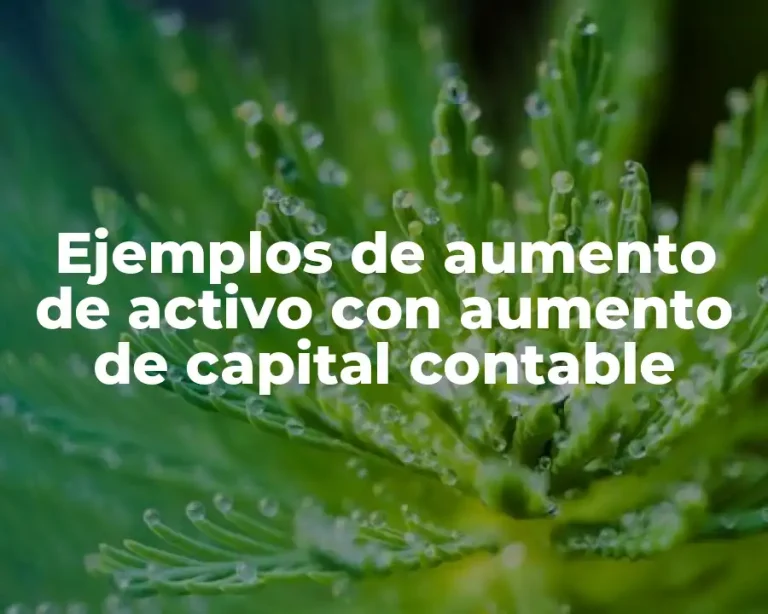 Ejemplos de aumento de activo con aumento de capital contable