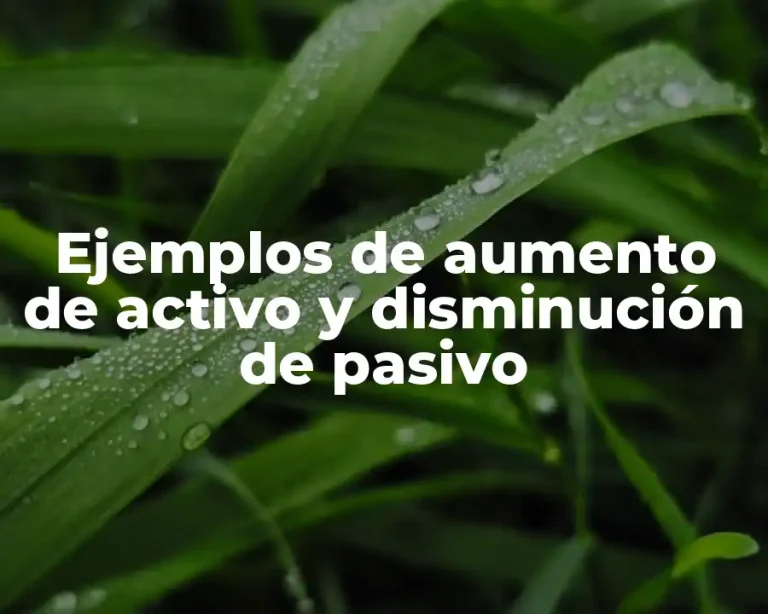 Ejemplos de aumento de activo y disminución de pasivo