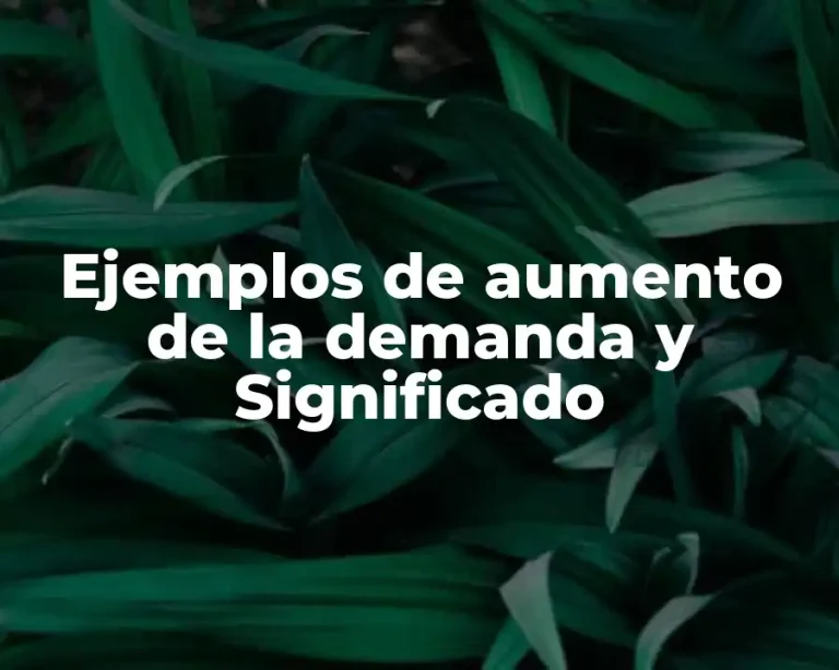 Ejemplos de aumento de la demanda y Significado