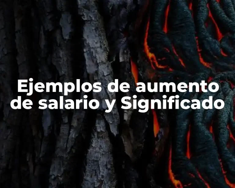 Ejemplos de aumento de salario y Significado