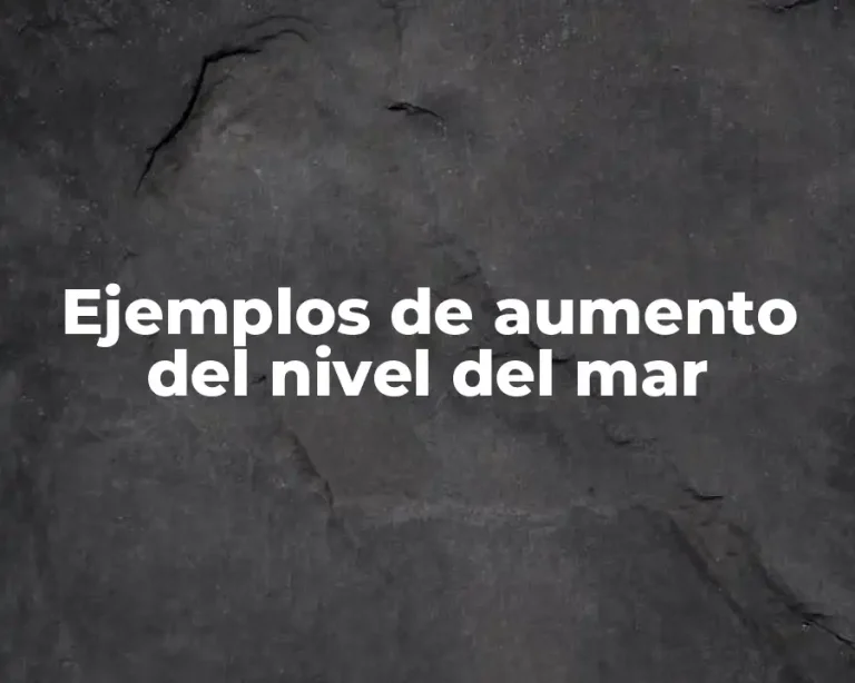 Ejemplos de aumento del nivel del mar
