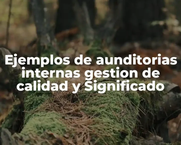 Ejemplos de aunditorias internas gestion de calidad y Significado