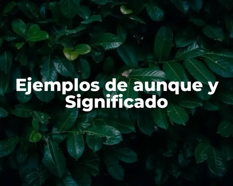 Ejemplos de aunque y Significado