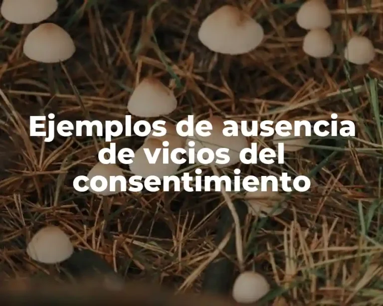 Ejemplos de ausencia de vicios del consentimiento