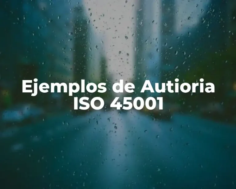 Ejemplos de Autioria ISO 45001