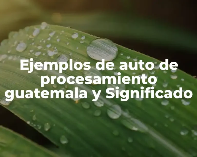 Ejemplos de auto de procesamiento guatemala y Significado