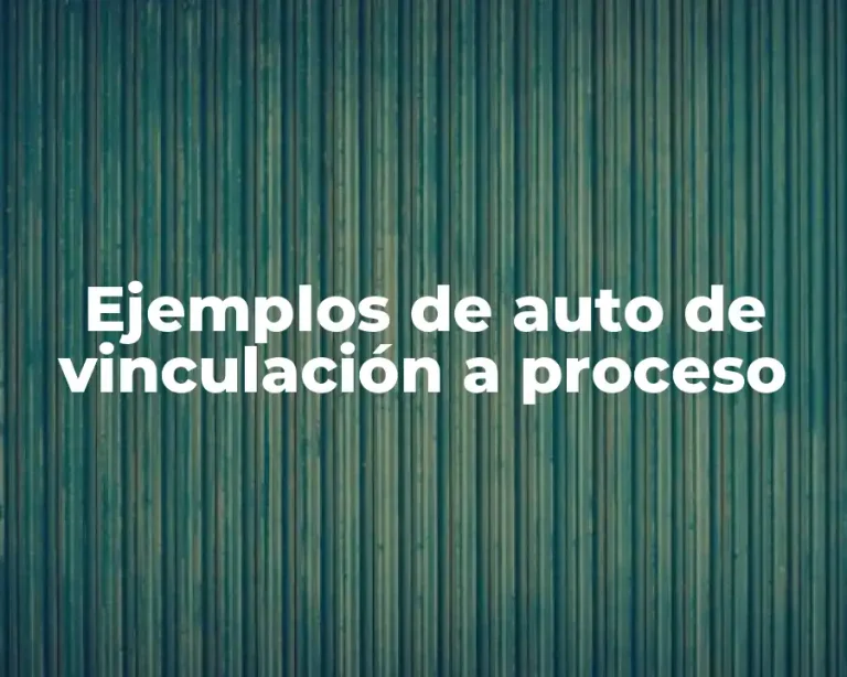 Ejemplos de auto de vinculación a proceso
