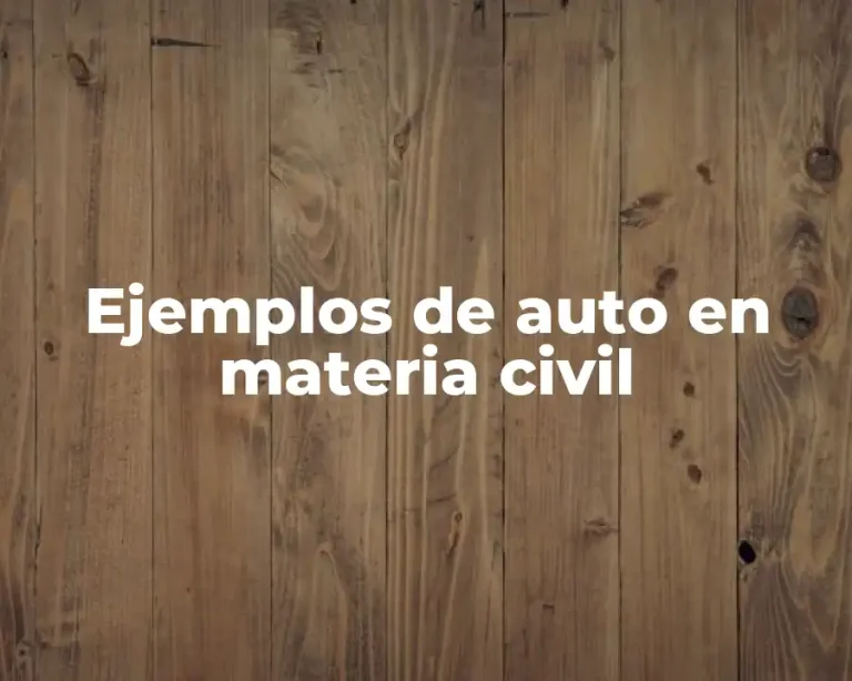 Ejemplos de auto en materia civil