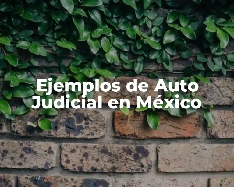 Ejemplos de Auto Judicial en México