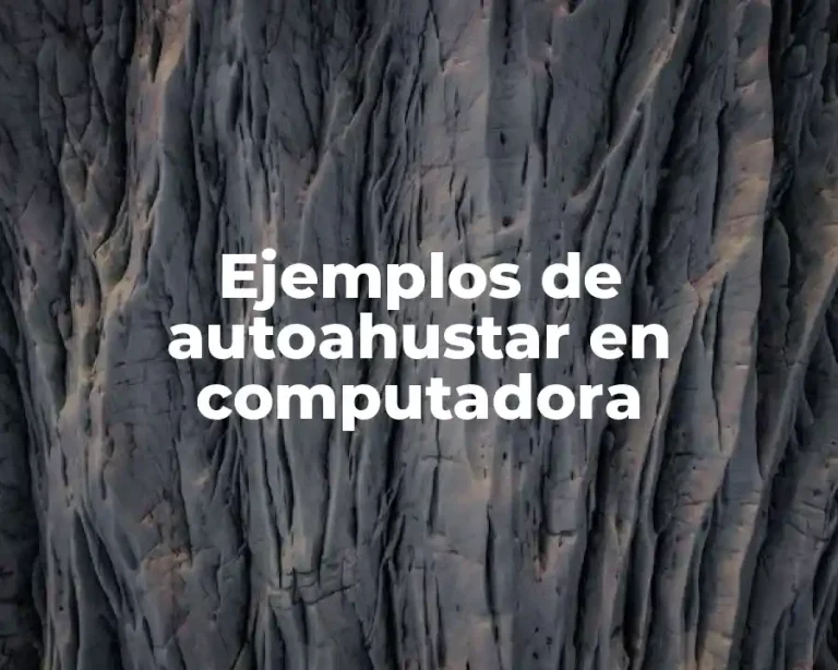 Ejemplos de autoahustar en computadora
