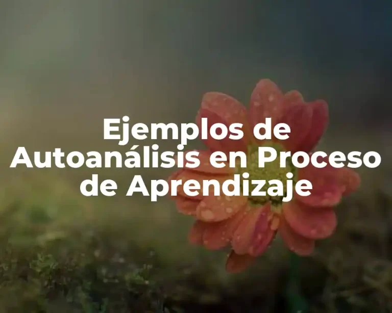 Ejemplos de Autoanálisis en Proceso de Aprendizaje