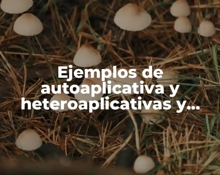 Ejemplos de autoaplicativa y heteroaplicativas y Significado