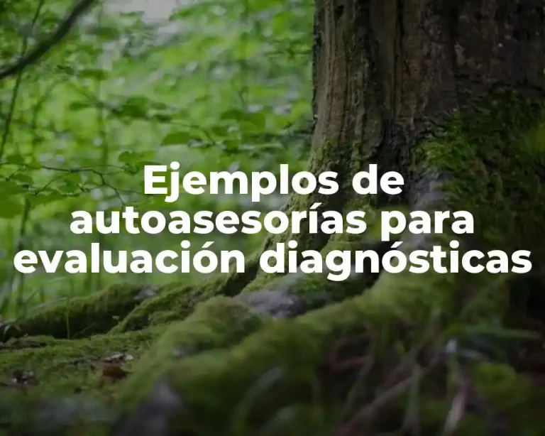 Ejemplos de autoasesorías para evaluación diagnósticas