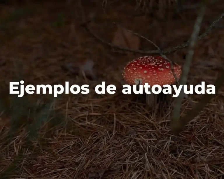 Ejemplos de autoayuda