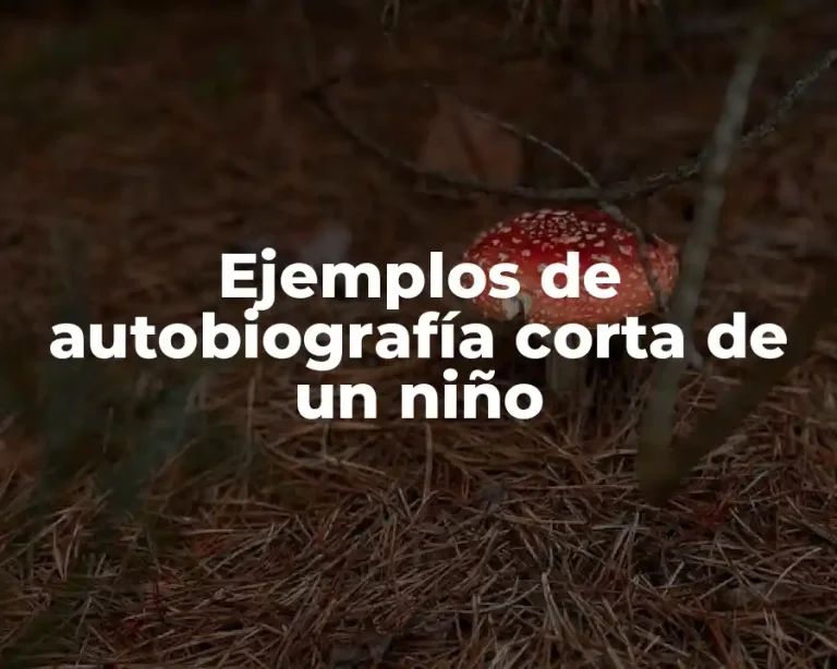 Ejemplos de autobiografía corta de un niño