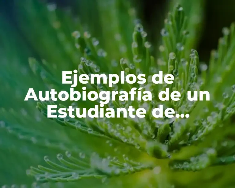 Ejemplos de Autobiografía de un Estudiante de Universidad