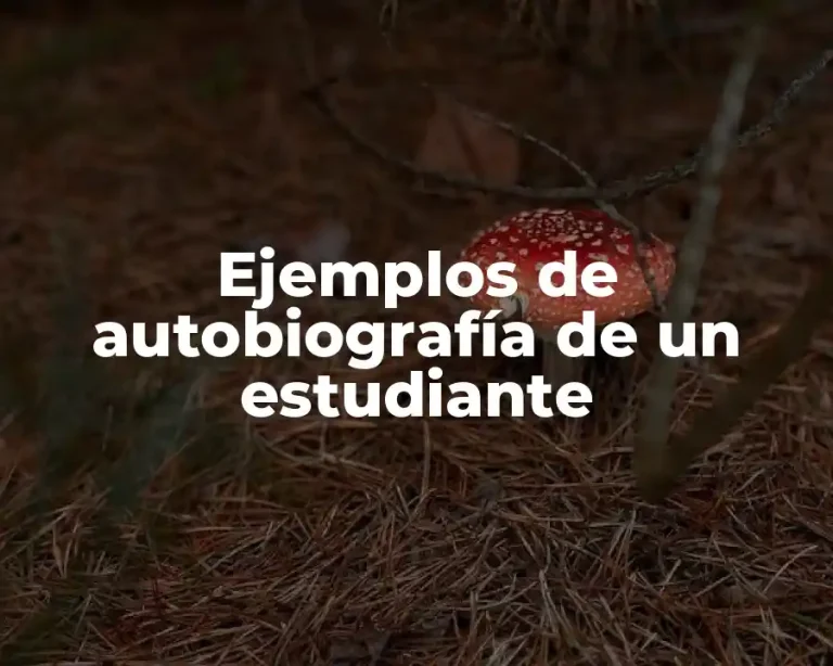 Ejemplos de autobiografía de un estudiante