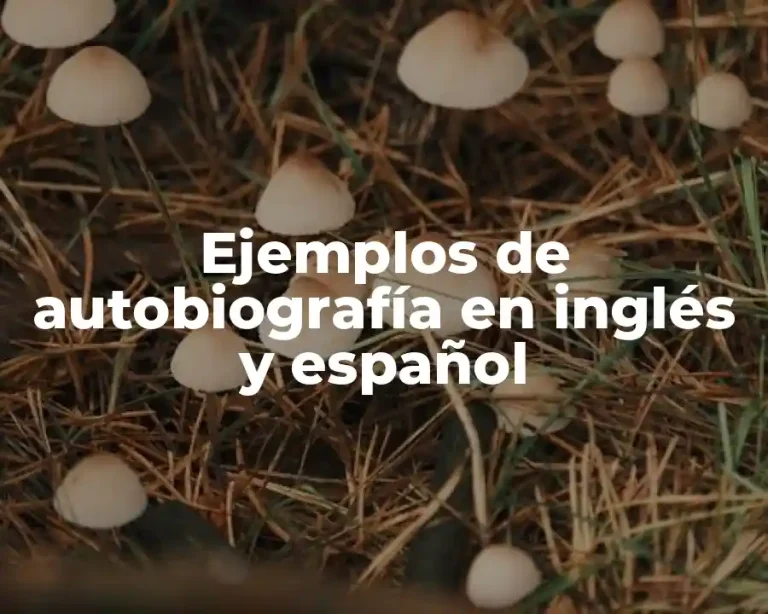 Ejemplos de autobiografía en inglés y español