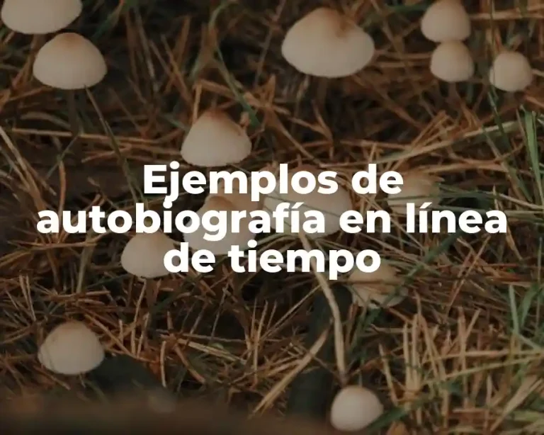 Ejemplos de autobiografía en línea de tiempo