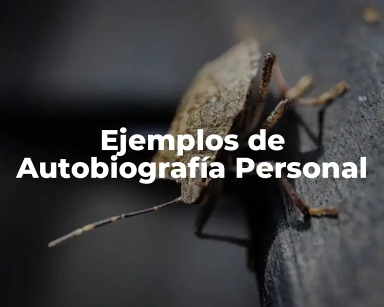 Ejemplos de Autobiografía Personal