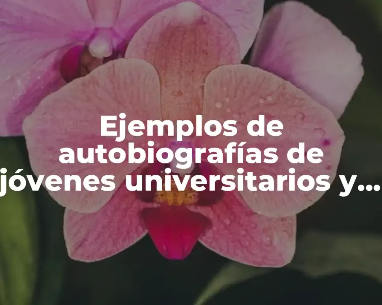Ejemplos de autobiografías de jóvenes universitarios y Significado