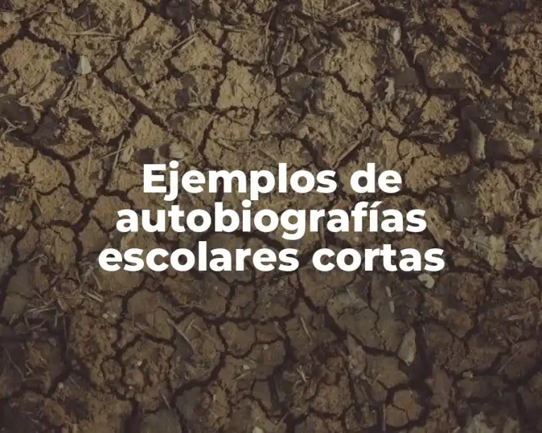 Ejemplos de autobiografías escolares cortas