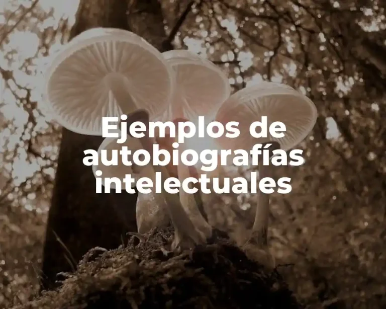 Ejemplos de autobiografías intelectuales