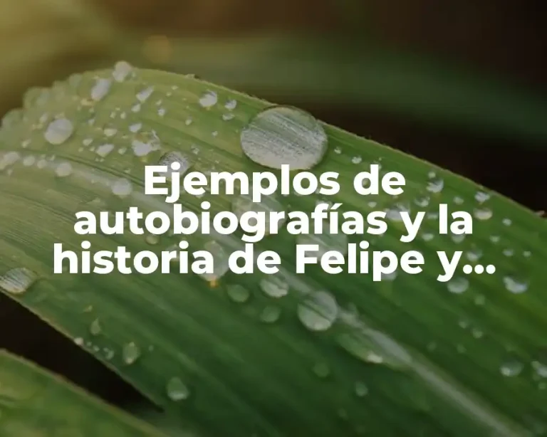 Ejemplos de autobiografías y la historia de Felipe y Significado