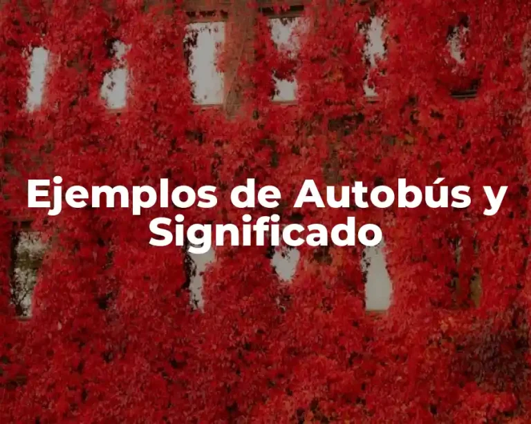 Ejemplos de Autobús y Significado
