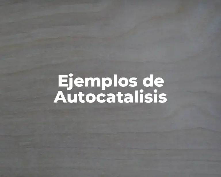 Ejemplos de Autocatalisis