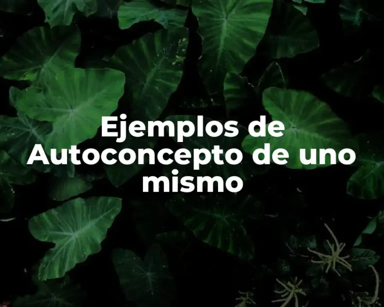 Ejemplos de Autoconcepto de uno mismo