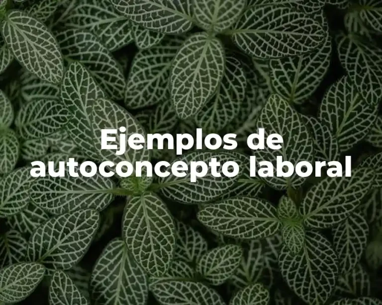 Ejemplos de autoconcepto laboral